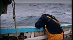 fisherman 101