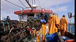 fisherman 122