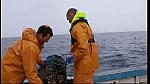 fisherman 130