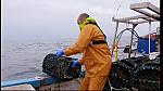 fisherman 134