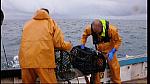 fisherman 136