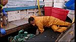 fisherman 138