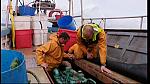fisherman 143