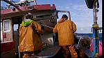 fisherman 146
