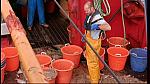 fisherman 184