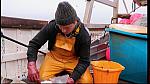 fisherman 197