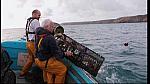 fisherman 212