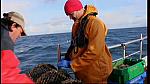 fisherman 216