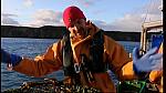 fisherman 220