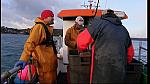 fisherman 221