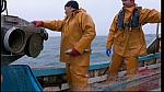 fisherman 231