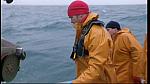 fisherman 232