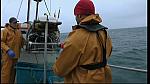 fisherman 233