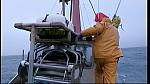 fisherman 238
