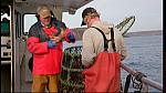 fisherman 242