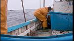 fisherman 247