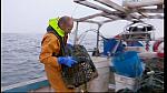 fisherman 250