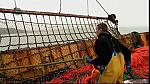 Oilskins - Mitch Matt Fishing