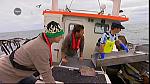 MM FISH 017