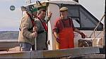 MM FISH 023