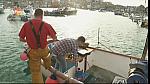 MM FISH 075