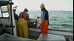 MM FISH 114