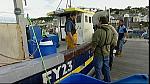 MM FISH 121