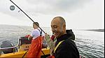 MM FISH 131