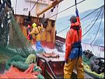 TRAWLER WARS 032