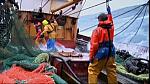 TRAWLER WARS 048