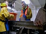 TRAWLER WARS 087