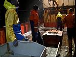 TRAWLER WARS 091