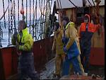 TRAWLER WARS 103