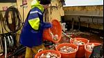 TRAWLER WARS 142
