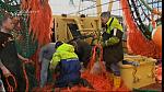 TRAWLER WARS 153