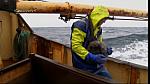 TRAWLER WARS 155
