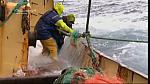 TRAWLER WARS 157