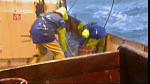 TRAWLER WARS 176