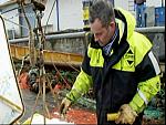 TRAWLER WARS 208