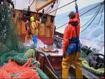TRAWLER WARS 209