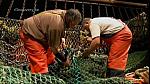 TRAWLER WARS 226