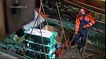 TRAWLER WARS 242
