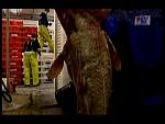 TRAWLERMEN-12