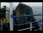 TRAWLERMEN-29