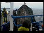 TRAWLERMEN-30