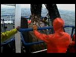 TRAWLERMEN-32
