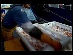 TRAWLERMEN-44