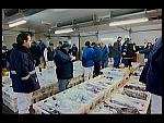 TRAWLERMEN-46
