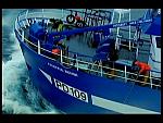 TRAWLERMEN-49