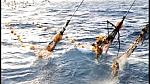 TRAWLERMEN3-032